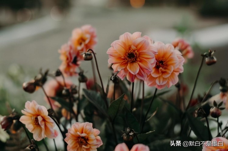 微信式的爱情:见面好说分手一段感情才能真正的结束